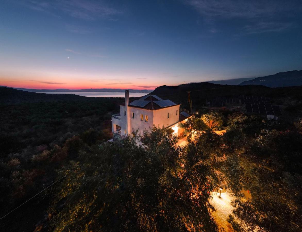 Appartement In Olive Groove House Peloponnesos Western Mani Kalianeika 外观 照片