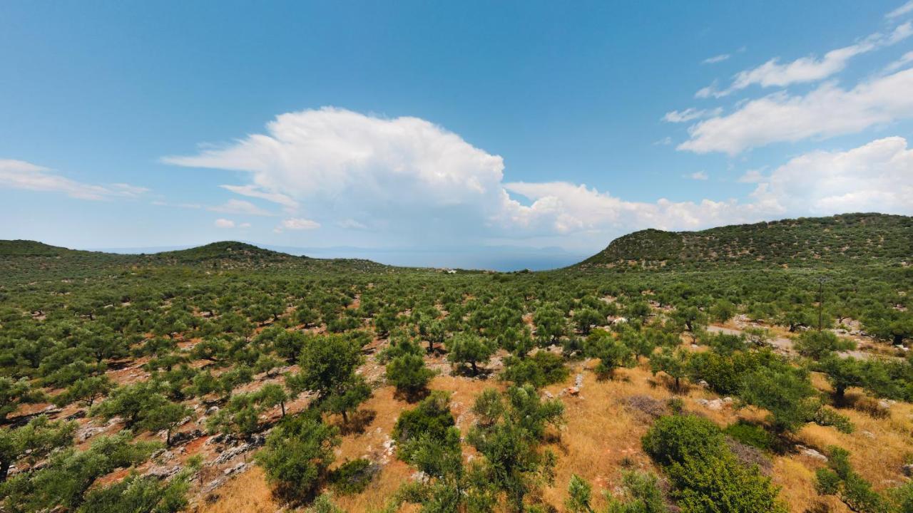 Appartement In Olive Groove House Peloponnesos Western Mani Kalianeika 外观 照片